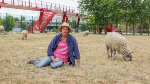 “When the Urban Mammal Encounters the Rural Mammal”